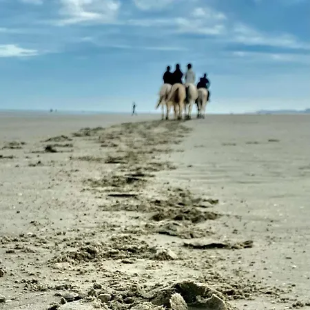 Du Sable Dans Les Chaussures